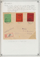 Alle Welt: 1870/1923 Appr.: Beautiful Collection Of Non-offical Issues, Private Overprints And More - Collections (without Album)