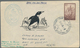 Thematik: Antarktis / Antarctic: 1948/1987, Collection Of Apprx. 200 Covers Bearing Argentinian Fank - Sonstige & Ohne Zuordnung