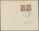 Thematik: Antarktis / Antarctic: 1948/1987, Collection Of Apprx. 200 Covers Bearing Argentinian Fank - Other & Unclassified