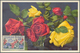 Thematik: Flora-Rosen / Flora-roses: 1950/1990 (ca.), Holding Of Apprx. 300 Covers/cards Plus U/m Lo - Rosen