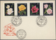 Thematik: Flora-Rosen / Flora-roses: 1960/2000 (approx), Various Countries. Bouquet Of 96 Roses (col - Rose