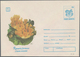 Thematik: Pilze / Mushrooms: 1980/1990 (ca.), Holding Of Covers And Loose Stamps. Realistic Retail P - Pilze