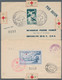 Delcampe - Thematik: Rotes Kreuz / Red Cross: 1910/1965 (ca.), Red Cross/Health, Holding Of Stamps And Covers/c - Cruz Roja