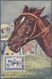 Thematik: Sport-Pferdesport / Sport Equestrian Sports: 19896/1996 Ca., Alle Welt, PFERDESPORT - Samm - Ippica