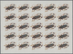 Thematik: Tiere-Insekten / Animals-insects: 1970, Burundi. Progressive Proofs Set Of Sheets For The - Other & Unclassified