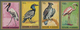 Thematik: Tiere-Vögel / Animals-birds: 1965, BURUNDI: Birds Airmails Complete IMPERFORATE Set Of Nin - Sonstige & Ohne Zuordnung