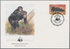 Thematik: WWF: 1980s/1990s (ca.), Lot Of Ca. 278 FDC On The WWF Topic, Only Different Pieces. Variou - Sonstige & Ohne Zuordnung