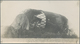 Delcampe - Thematik: Zeppelin / Zeppelin: 1913 (ca). Rare, Perhaps Unique, Collection Of 22 Original Photograph - Zeppeline