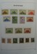 Delcampe - Belgien: 1849/1952: Almost Complete, Mostly MNH And Mint Hinged Collection Belgium 1849-1952 In Davo - Sammlungen