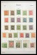 Delcampe - Belgien: 1849-1969: Very Well Filled, MNH, Mint Hinged And Used Collection Belgium 1849-1969 In 2 Le - Sammlungen