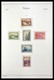 Delcampe - Belgien: 1849-1969: Very Well Filled, MNH, Mint Hinged And Used Collection Belgium 1849-1969 In 2 Le - Sammlungen