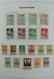 Delcampe - Belgien: 1849-1995: Very Extensive, MNH, Mint Hinged And Used Collection Belgium 1849-1995 In 6 Davo - Sammlungen