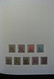 Delcampe - Belgien: 1915-1930: Very Well Filled, MNH, Mint Hinged And Used, Partly Double Collection Belgium 19 - Sammlungen