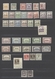 Fiume: 1918/1924, Mint And Used Collection On Large Stockcards, Well Sorted And Filled Throughout Wi - Fiume