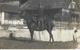 VAUD CRONAY - CAVALIER OFFICIER ARMÉE SUISSE - écrite Le 17.03.1915 Vers RIVAZ LAVAUX - Cronay