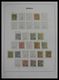 Monaco: 1885-2013: Very Well Filled, MNH And Mint Hinged Collection Monaco 1885-2013 In 6 Davo Luxe - Ungebraucht