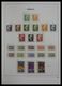 Delcampe - Monaco: 1885-2013: Very Well Filled, MNH And Mint Hinged Collection Monaco 1885-2013 In 6 Davo Luxe - Ungebraucht