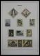 Delcampe - Monaco: 1885-2013: Very Well Filled, MNH And Mint Hinged Collection Monaco 1885-2013 In 6 Davo Luxe - Ungebraucht