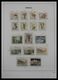 Delcampe - Monaco: 1885-2013: Very Well Filled, MNH And Mint Hinged Collection Monaco 1885-2013 In 6 Davo Luxe - Ongebruikt