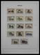 Delcampe - Monaco: 1885-2013: Very Well Filled, MNH And Mint Hinged Collection Monaco 1885-2013 In 6 Davo Luxe - Ongebruikt