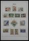 Delcampe - Monaco: 1885-2013: Very Well Filled, MNH And Mint Hinged Collection Monaco 1885-2013 In 6 Davo Luxe - Ungebraucht