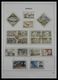 Delcampe - Monaco: 1885-2013: Very Well Filled, MNH And Mint Hinged Collection Monaco 1885-2013 In 6 Davo Luxe - Ungebraucht