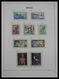 Delcampe - Monaco: 1885-2013: Very Well Filled, MNH And Mint Hinged Collection Monaco 1885-2013 In 6 Davo Luxe - Ungebraucht