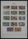 Delcampe - Monaco: 1885-2013: Very Well Filled, MNH And Mint Hinged Collection Monaco 1885-2013 In 6 Davo Luxe - Ungebraucht