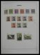 Delcampe - Monaco: 1885-2013: Very Well Filled, MNH And Mint Hinged Collection Monaco 1885-2013 In 6 Davo Luxe - Ungebraucht