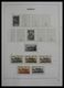 Delcampe - Monaco: 1885-2013: Very Well Filled, MNH And Mint Hinged Collection Monaco 1885-2013 In 6 Davo Luxe - Ungebraucht