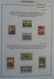 Delcampe - Montenegro: 1941/45: Fantastic MNH And Mint Hinged Collection Montenegro 1941-1945 In Blanc Album. C - Montenegro