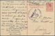Delcampe - Niederlande - Ganzsachen: 1870/1970 (ca.), Lot Of Apprx. 110 Used/unused Stationeries, Incl. Better - Postal Stationery
