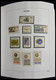 Delcampe - Polen: 1918-1994: Well Filled, MNH, Mint Hinged And Used Collection Poland 1918-1994 In 3 Davo Album - Briefe U. Dokumente