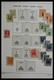 Delcampe - Russland: 1864-2007: Well Filled, MNH, Mint Hinged And Used Collection Russia 1864-2007 In 6 Fat Sch - Covers & Documents