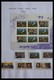 Delcampe - Russland: 1864-2007: Well Filled, MNH, Mint Hinged And Used Collection Russia 1864-2007 In 6 Fat Sch - Lettres & Documents