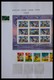 Delcampe - Russland: 1864-2007: Well Filled, MNH, Mint Hinged And Used Collection Russia 1864-2007 In 6 Fat Sch - Cartas & Documentos