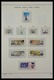 Delcampe - Russland: 1864-2007: Well Filled, MNH, Mint Hinged And Used Collection Russia 1864-2007 In 6 Fat Sch - Covers & Documents