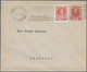 Delcampe - Russland - Ganzsachen: 1860/1916 (ca.) Collection Of Ca. 223 Stationeries Incl. Postal Stationery Ca - Ganzsachen