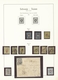 Schweiz: 1850/1900, Meist Gestempelte Sammlung Auf Albenblättern, Alles Mehrfach/spezialisiert Zusam - Sammlungen