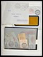 Delcampe - Schweiz - Nebengebiete: 1871-1980: Very Nice MNH, Mint Hinged And Used Collection Back Of The Book O - Sonstige & Ohne Zuordnung