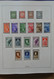 Vatikan: 1929-1984: Complete, MNH, Mint Hinged And Used Collection Vatican 1929-1984 In Lindner Albu - Sammlungen