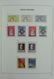 Delcampe - Vatikan: 1929-2001: Almost Complete, MNH And Mint Hinged Collection Vatican 1929-2001 In 2 Davo Luxe - Collections