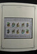 Delcampe - Weißrussland (Belarus): 1992-2009: Well Filled, Mostly MNH Collection Belarus 1992-2009 In Fat Scott - Belarus