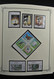 Delcampe - Weißrussland (Belarus): 1992-2009: Well Filled, Mostly MNH Collection Belarus 1992-2009 In Fat Scott - Belarus