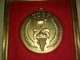 GROSSE MÉDAILLE ENCADRÉE  UDSF Union De La Sommellerie Française  GRAPPE DE RAISIN   70 Mm - Other & Unclassified