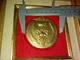 GROSSE MÉDAILLE ENCADRÉE  UDSF Union De La Sommellerie Française  GRAPPE DE RAISIN   70 Mm - Sonstige & Ohne Zuordnung