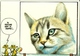 LES CHATS 1 - Illustrateur Castan 1988 Cadratin - Cats