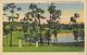 Sports - Golf, Golfing, A Year'round Sport In Florida (Floride, FLA) 1938 - Carte Colorisée N° 914 - Golf