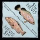 THEMATIC FISH - NEVIS - Pesci