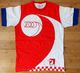 2009 World Men's Handball Championship - Croatia Team Training Jersey (cotton) * Hand-ball T-shirt Trikot Camiseta - Palla A Mano